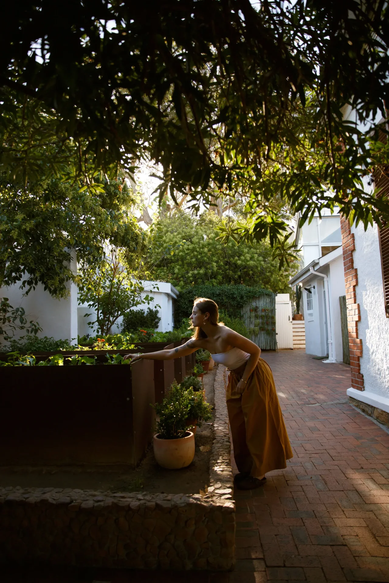 InAweStays, Gardens, Cape Town